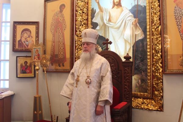 РОЖДЕСТВЕНСКОЕ ПОСЛАНИЕ епископа Котласского и Вельского Василия